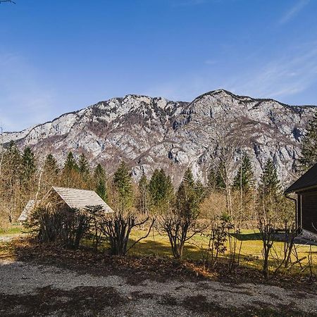 Holiday Home Kozorog 보히니 외부 사진